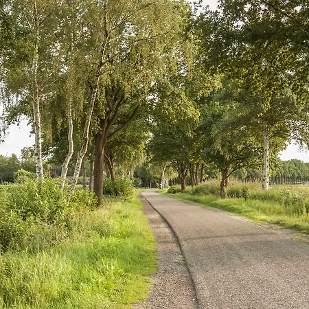 Bed & Breakfast Bed In Brabant Veghel