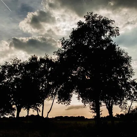 Bed & Breakfast Bed & Breakfast Bed In Brabant