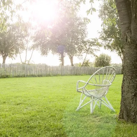 Bed & Breakfast Bed & Breakfast Bed In Brabant