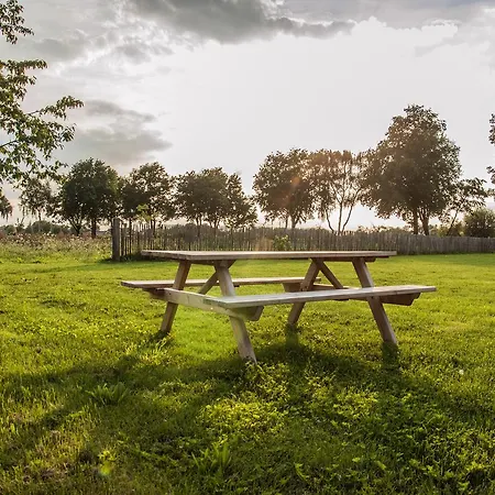 Bed & Breakfast Bed In Brabant Bed & Breakfast