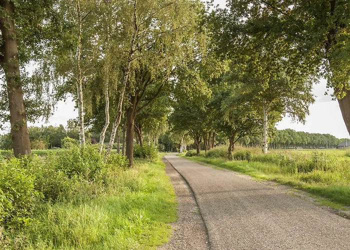 Bed & Breakfast Bed In Brabant 维格尔