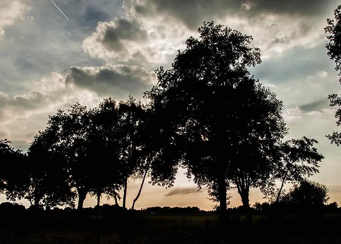 住宿加早餐酒店 Bed & Breakfast Bed In Brabant