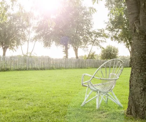 住宿加早餐酒店 Bed & Breakfast Bed In Brabant